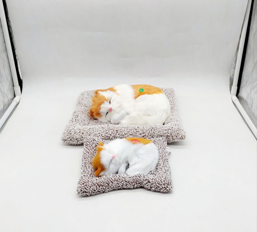 گربه صدا دار بالشتی صدادار کوچک ۲۵سانت کد کالا ۸۶۶۰